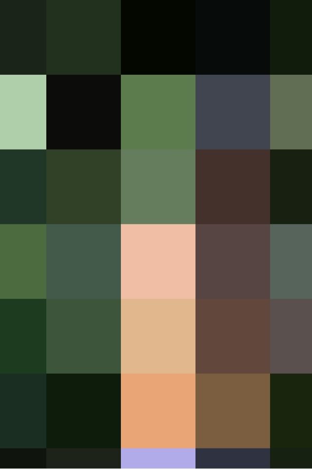 护送 Emerans 的女孩 ID 3406